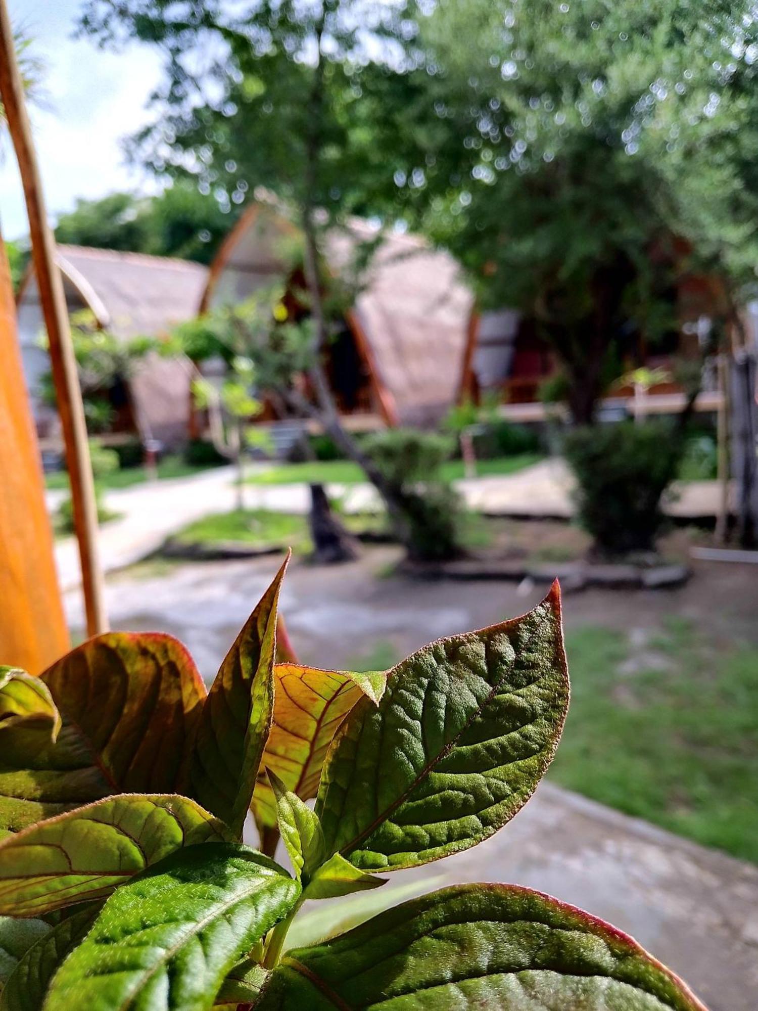 唯庇小屋 吉利美诺 外观 照片